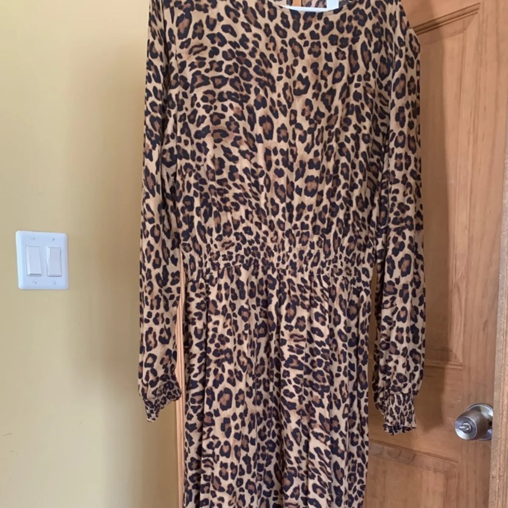 H&M maxi Lion print dress.